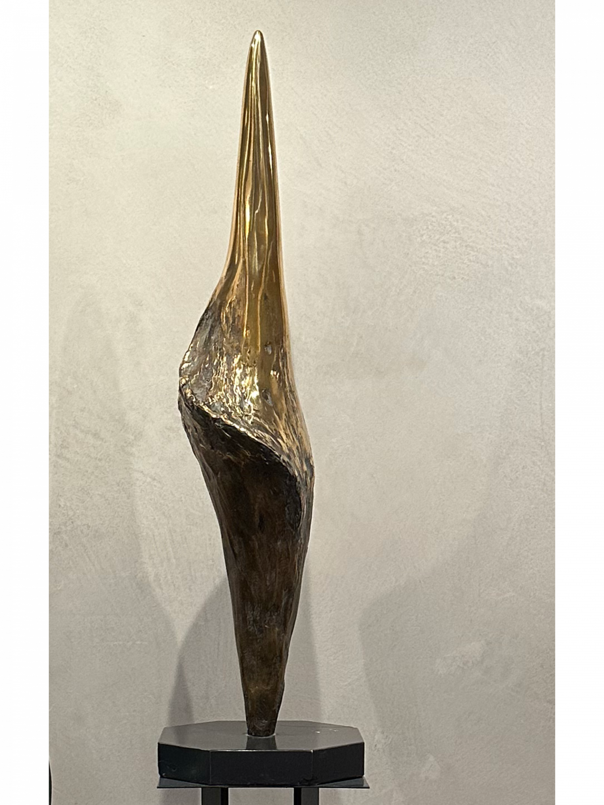 En bronze, est née de l’idée que dans chaque féminin il y a du masculin, et vice versa.

Dans cette œuvre, une des mes préférées, on retrouve, symboliquement, la référence à la rondeur d’une femme, mais, également, la virilité d’un homme.

L’un n’existe pas sans l’autre.

Pour moi, cette sculpture  est pleine d’harmonie et de douceur, (assez féminin, ) mais  elle rayonne avec une force et une présence masculine. Pudeur et fierté. Douce et dur. Modeste et assuré. A la fois, humble et arrogant, elle est pleine de joie de vivre.